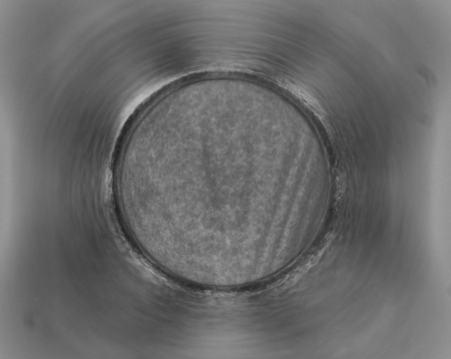 X0000112770928200909101548