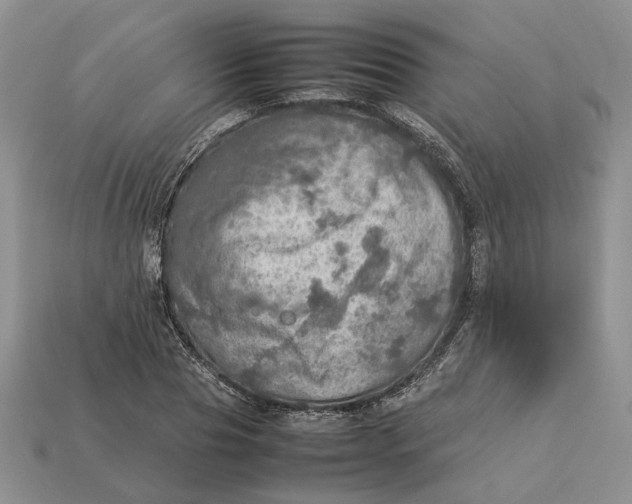 X0000112770929200909101548