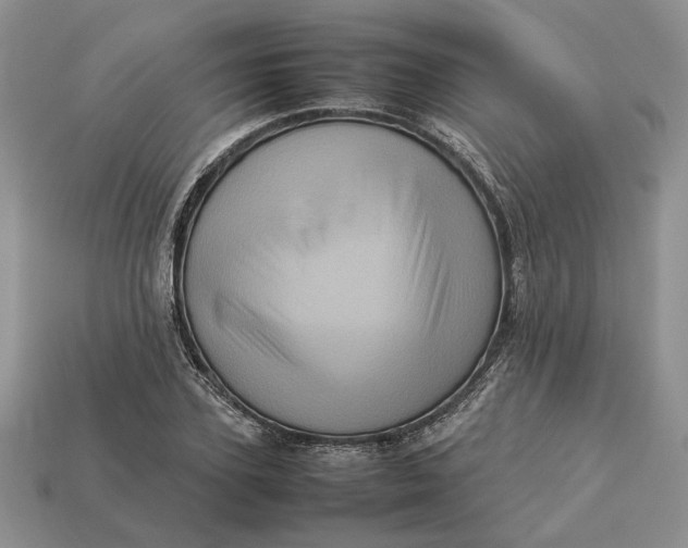 X0000112770931200909101548