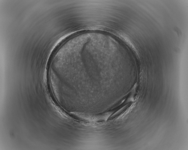 X0000112770932200909101548