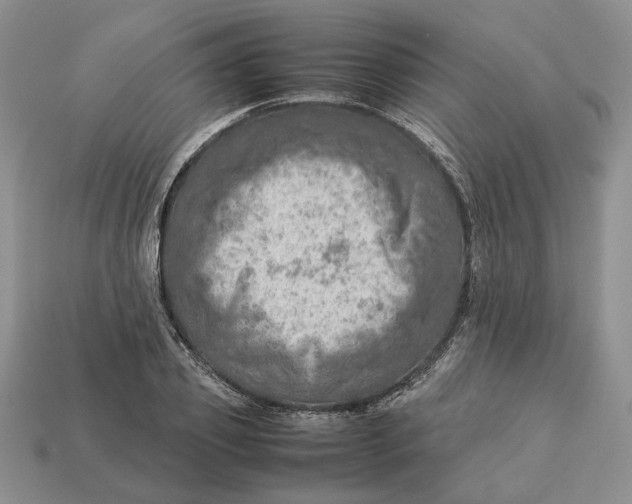 X0000112770933200909101548