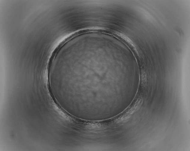 X0000112770935200909101548