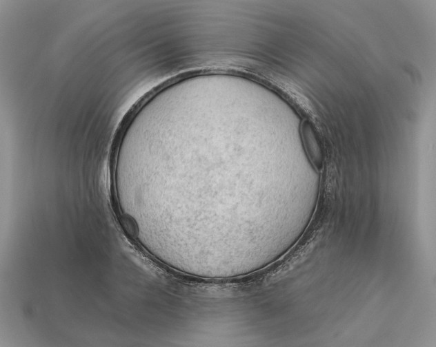 X0000112770936200909101548