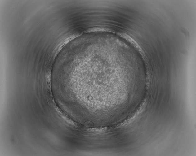 X0000112770937200909101548