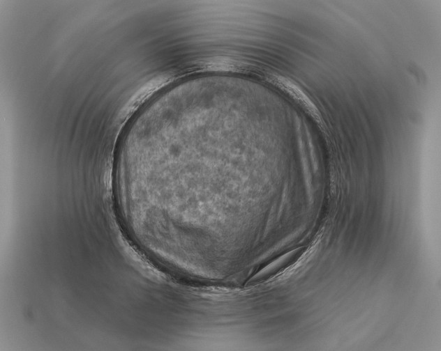 X0000112770938200909101548