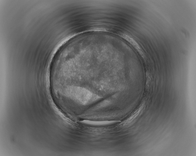 X0000112770939200909101548