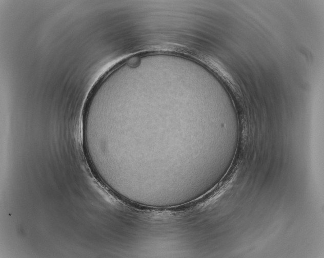 X0000112770940200909101548