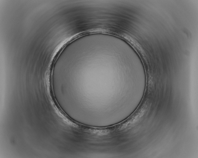 X0000112770941200909101548