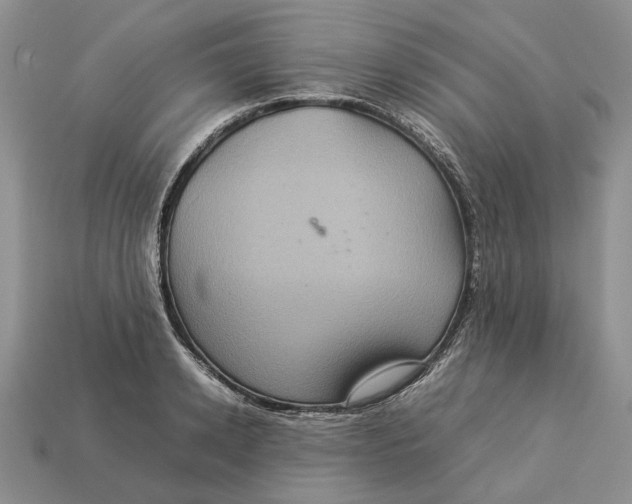 X0000112770942200909101548