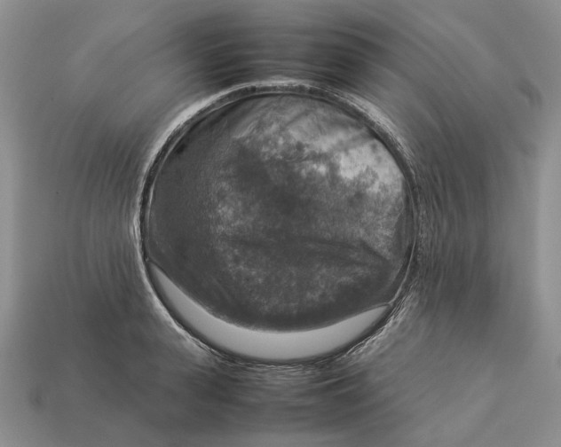 X0000112770943200909101548