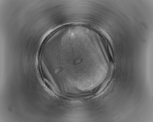 X0000112770944200909101548