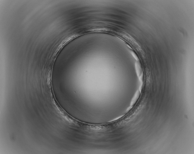 X0000112770945200909101548