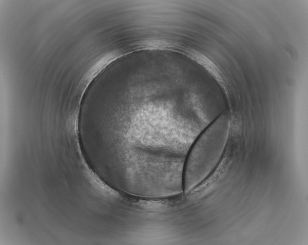 X0000112770946200909101548