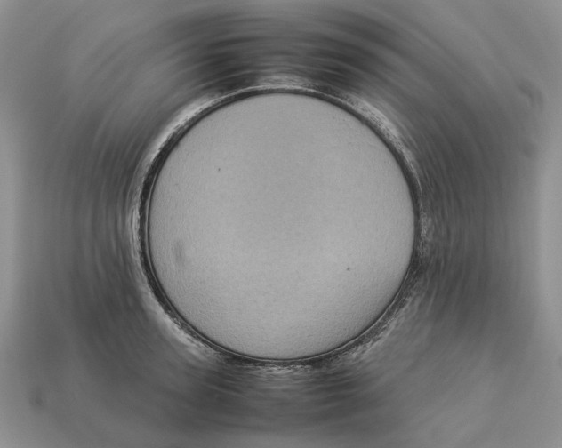 X0000112770947200909101548