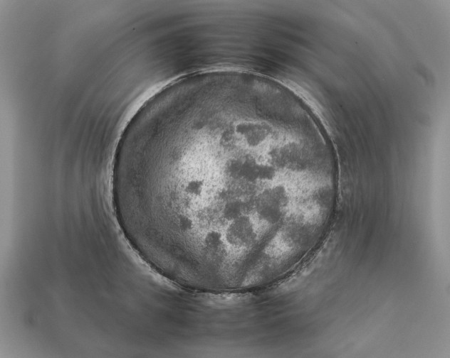 X0000112770949200909101548