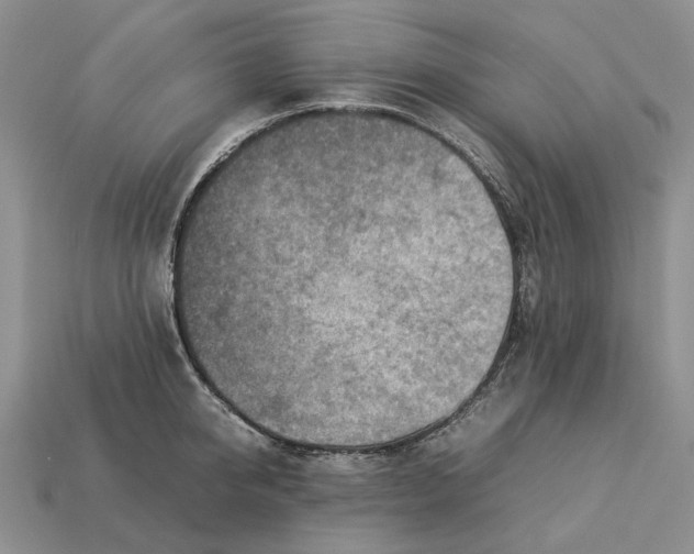 X0000112770950200909101548