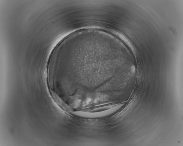 X0000112770951200909101548