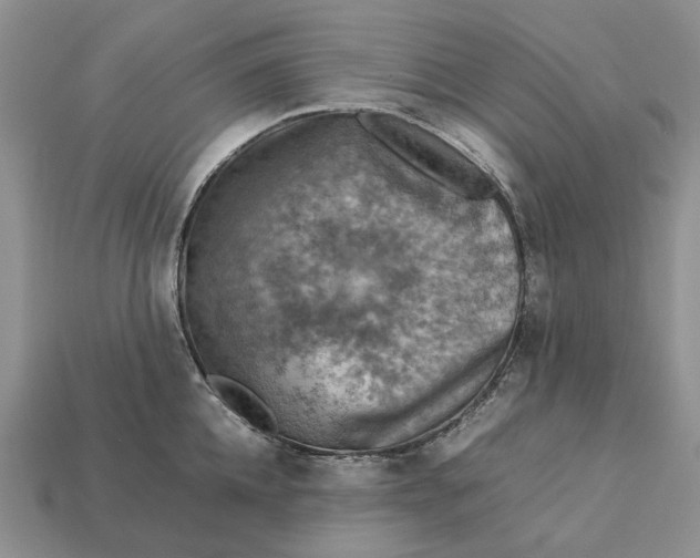 X0000112770952200909101548