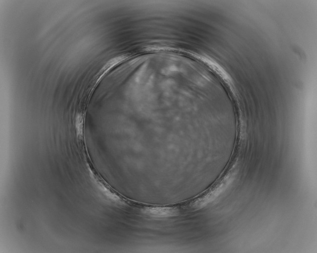 X0000112770953200909101548