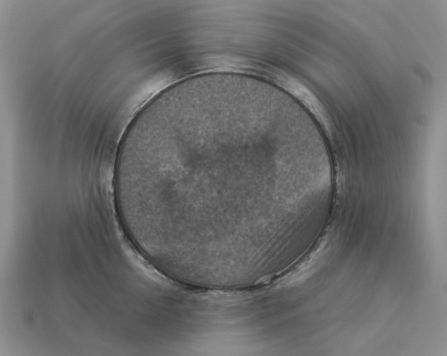 X0000112770954200909101548