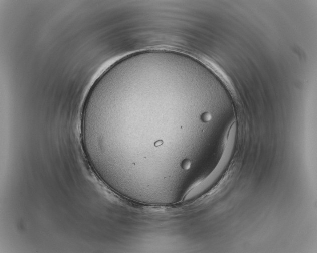 X0000112770956200909101548