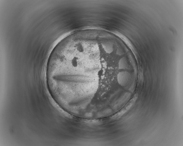 X0000112770957200909101548