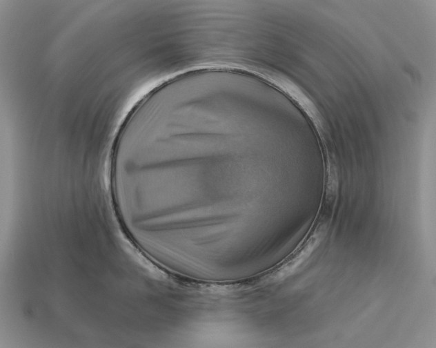 X0000112770958200909101548