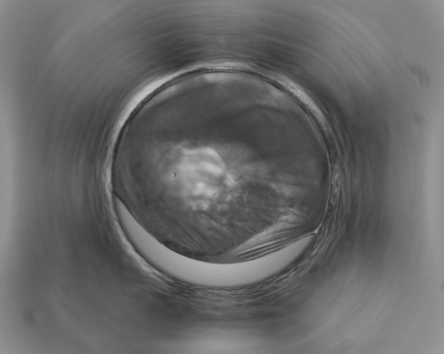 X0000112770959200909101548