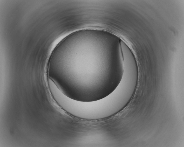 X0000112770960200909101548