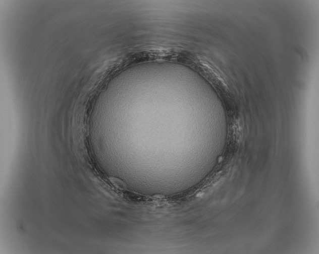 X0000112770961200909101548