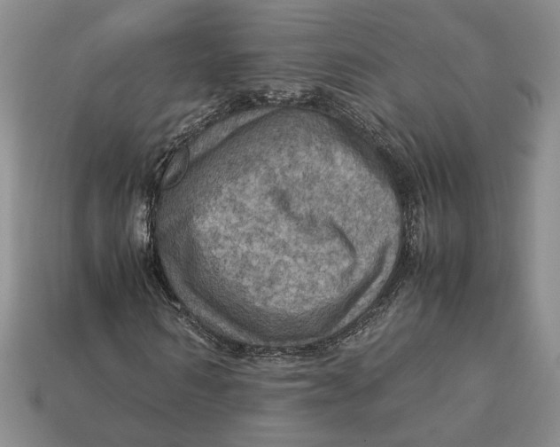 X0000112770962200909101548