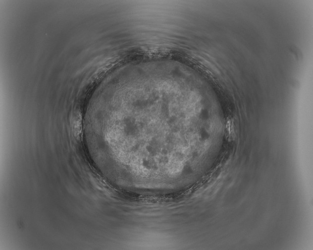 X0000112770963200909101548