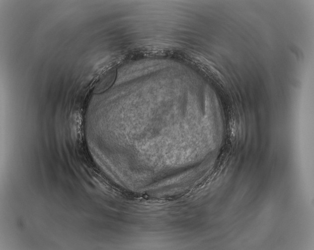 X0000112770964200909101548