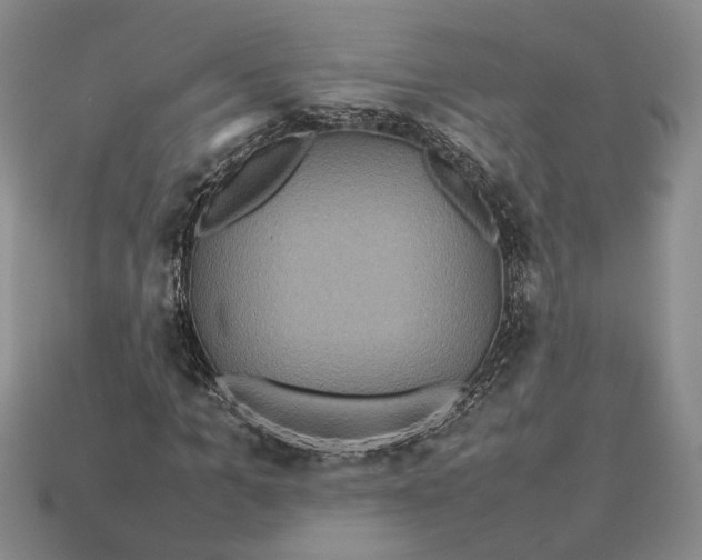 X0000112770965200909101548