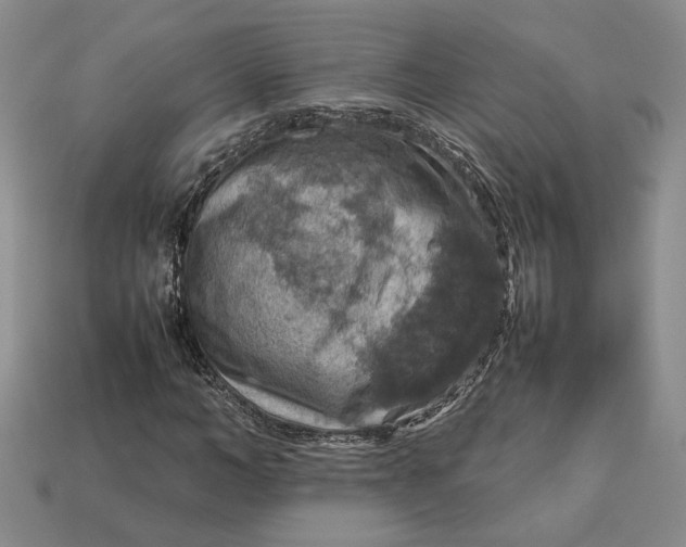 X0000112770966200909101548