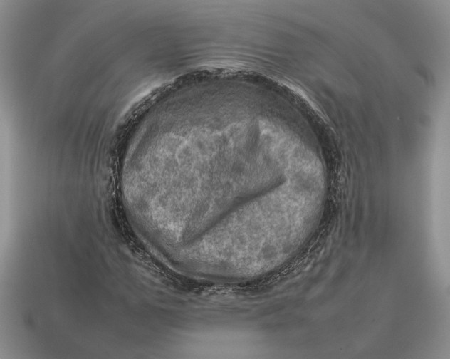 X0000112770967200909101548