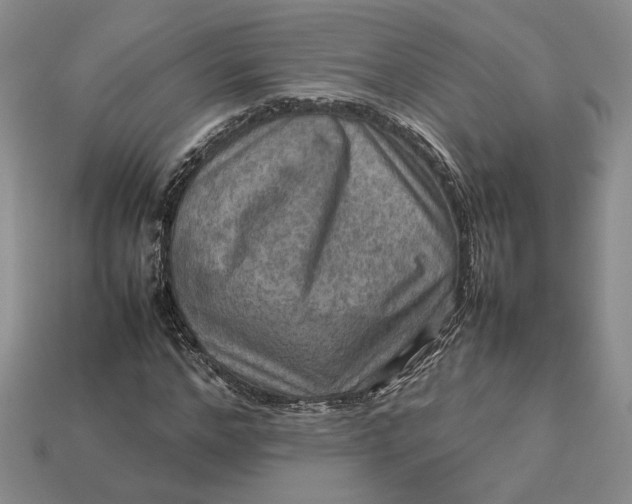 X0000112770968200909101548