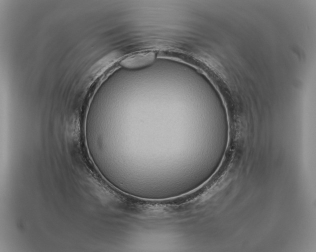 X0000112770969200909101548