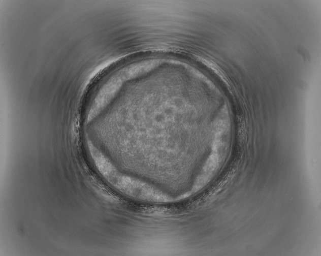 X0000112770971200909101547