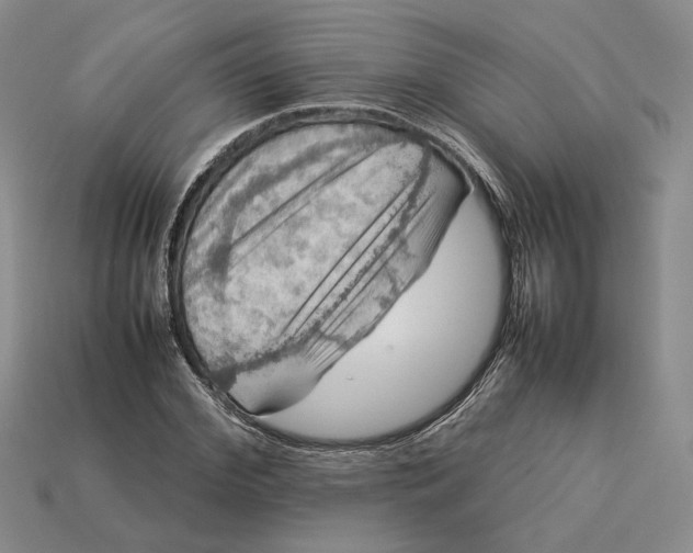 X0000112770972200909101547