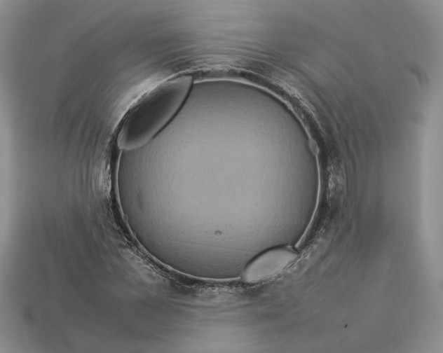 X0000112770973200909101547