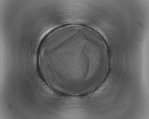 X0000112770975200909101547