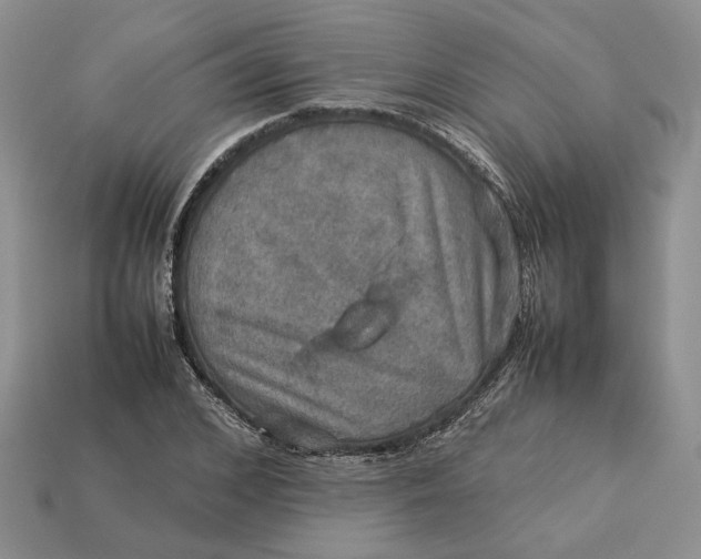 X0000112770976200909101547