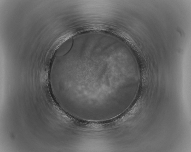 X0000112770977200909101547