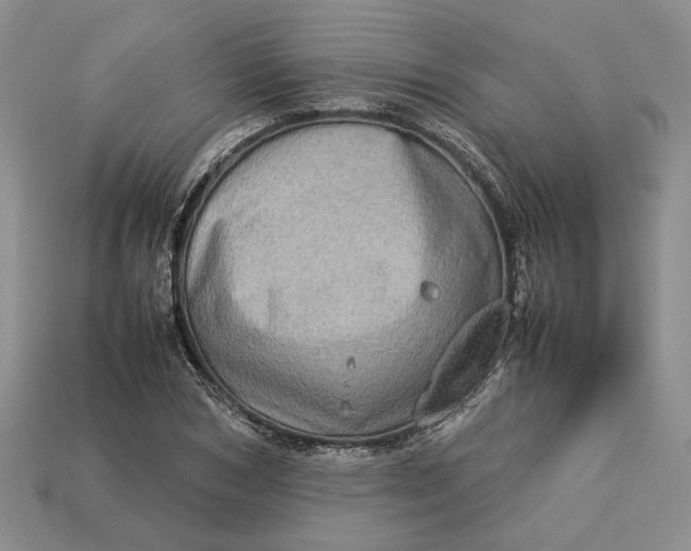 X0000112770978200909101547