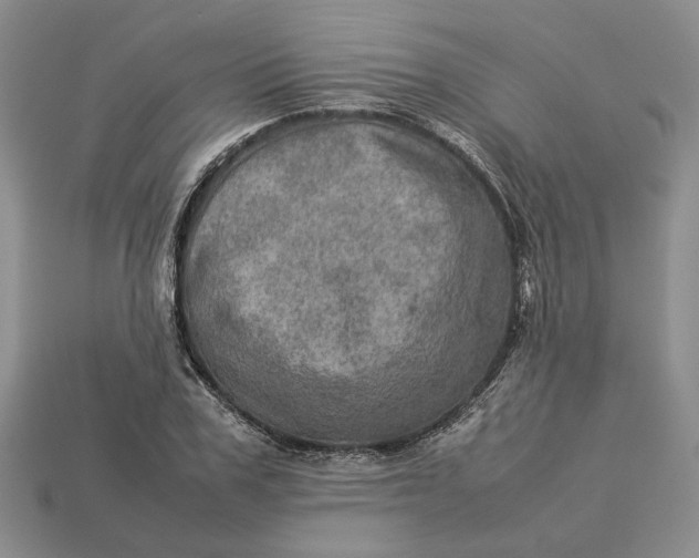 X0000112770979200909101547