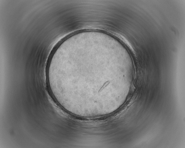 X0000112770980200909101547