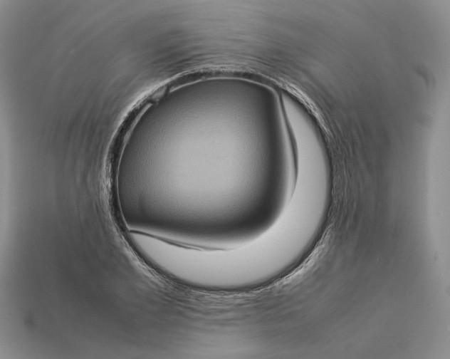 X0000112770981200909101547