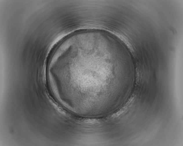 X0000112770982200909101547