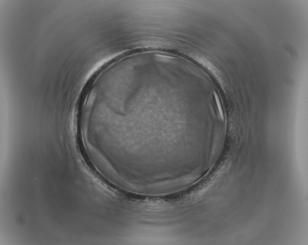 X0000112770983200909101547